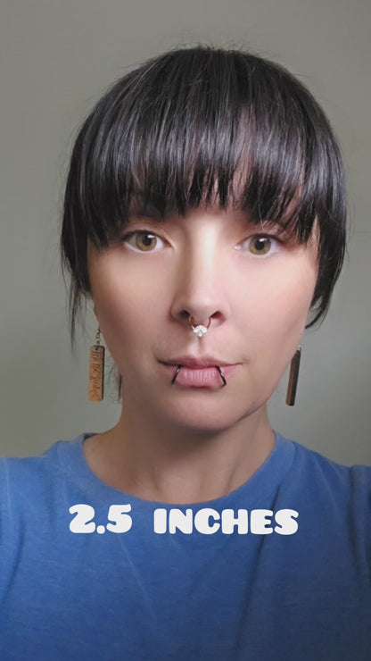 We the People Earrings