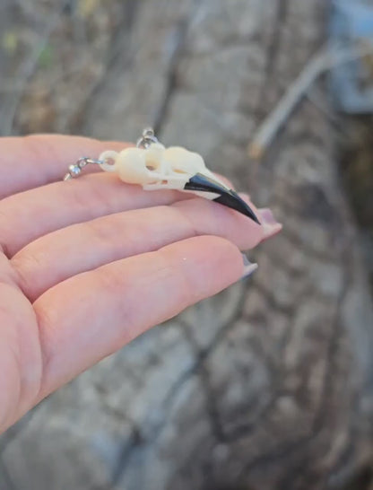 Resin Raven Skull Earrings: Hand-Painted Beaks, Surgical Steel Hooks